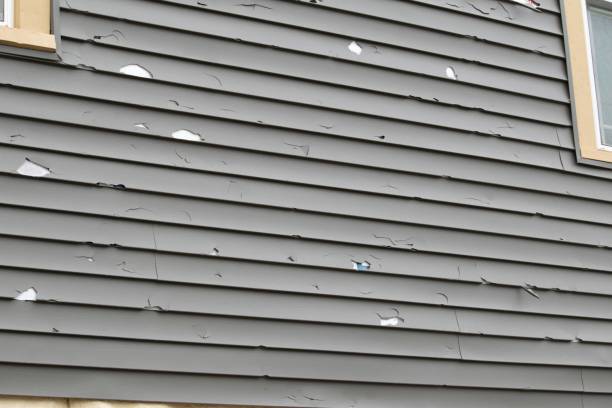 Siding for Commercial Buildings